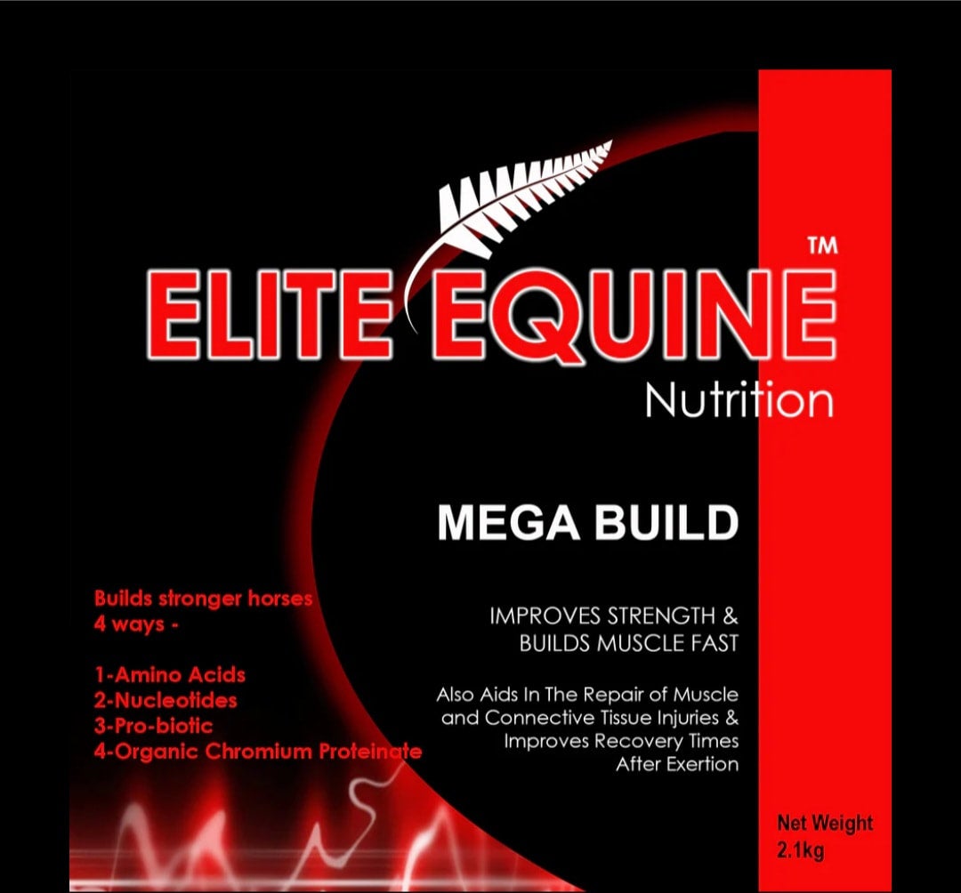 Elite Equine Nutrition MEGA BULD. The Muscle Builder for Horses ELITE
